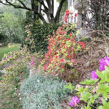 Bed & Breakfast Le Camelie Côme
