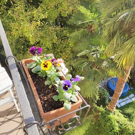 Le Camelie Bed & Breakfast 3*