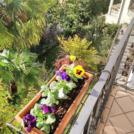 Bed & Breakfast Le Camelie Como