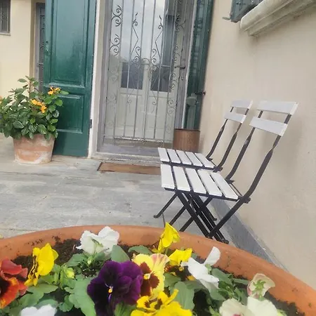 Bed and breakfast Le Camelie