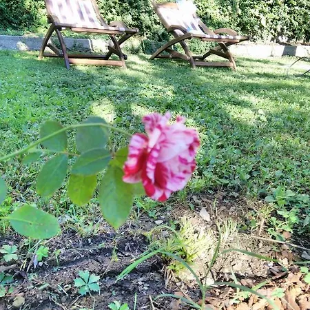 Bed and breakfast Le Camelie 3*