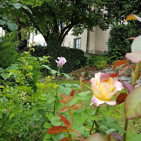 Bed & Breakfast Le Camelie 3*