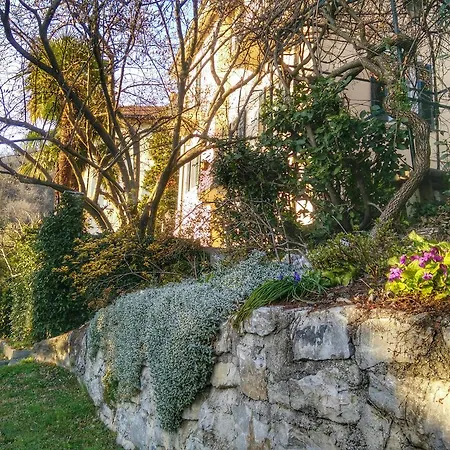 Bed & Breakfast Le Camelie Como
