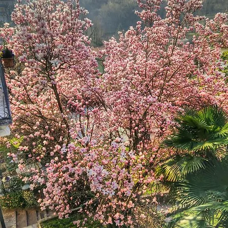 Bed & Breakfast Le Camelie 3*
